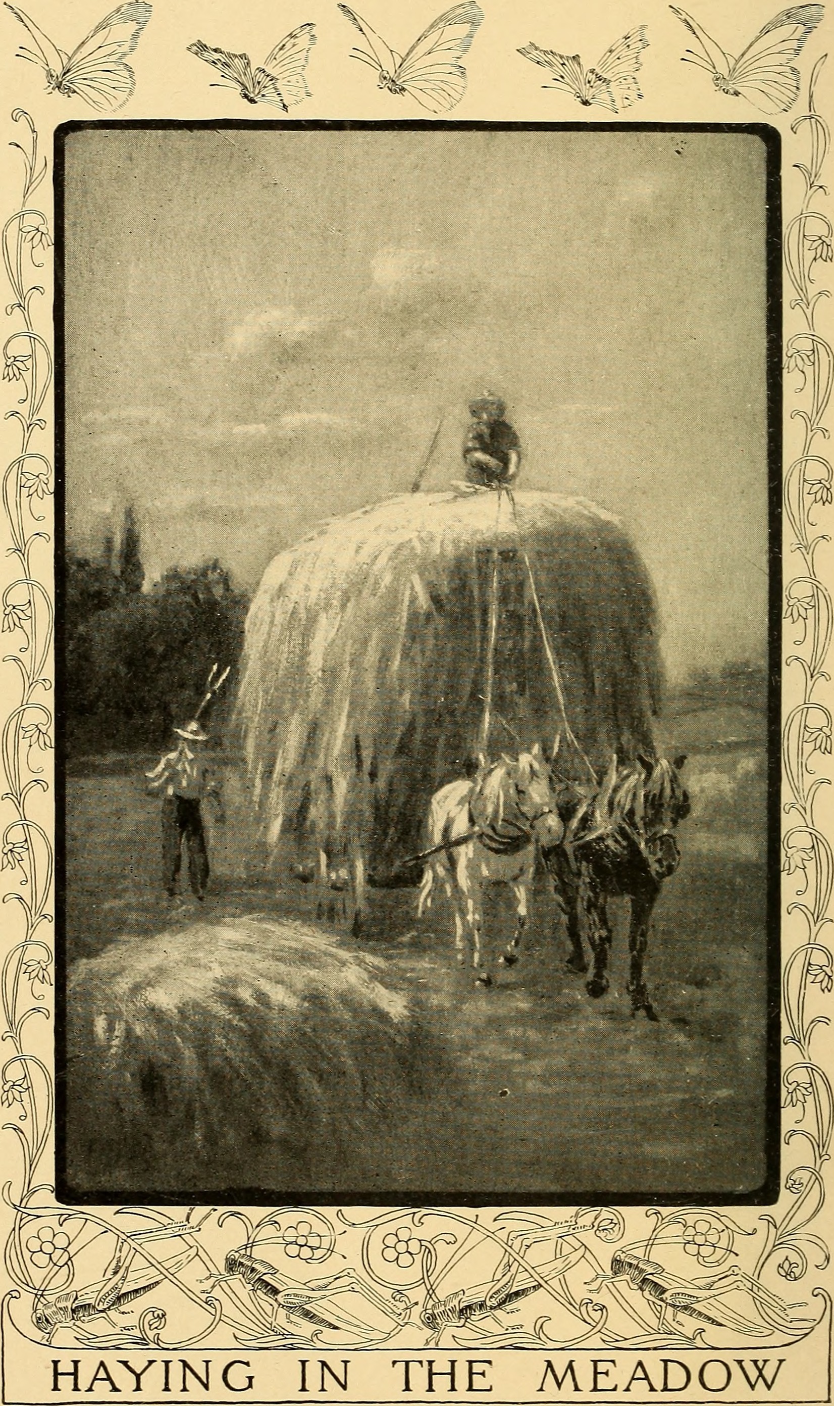 Generic Meadow Butterfly