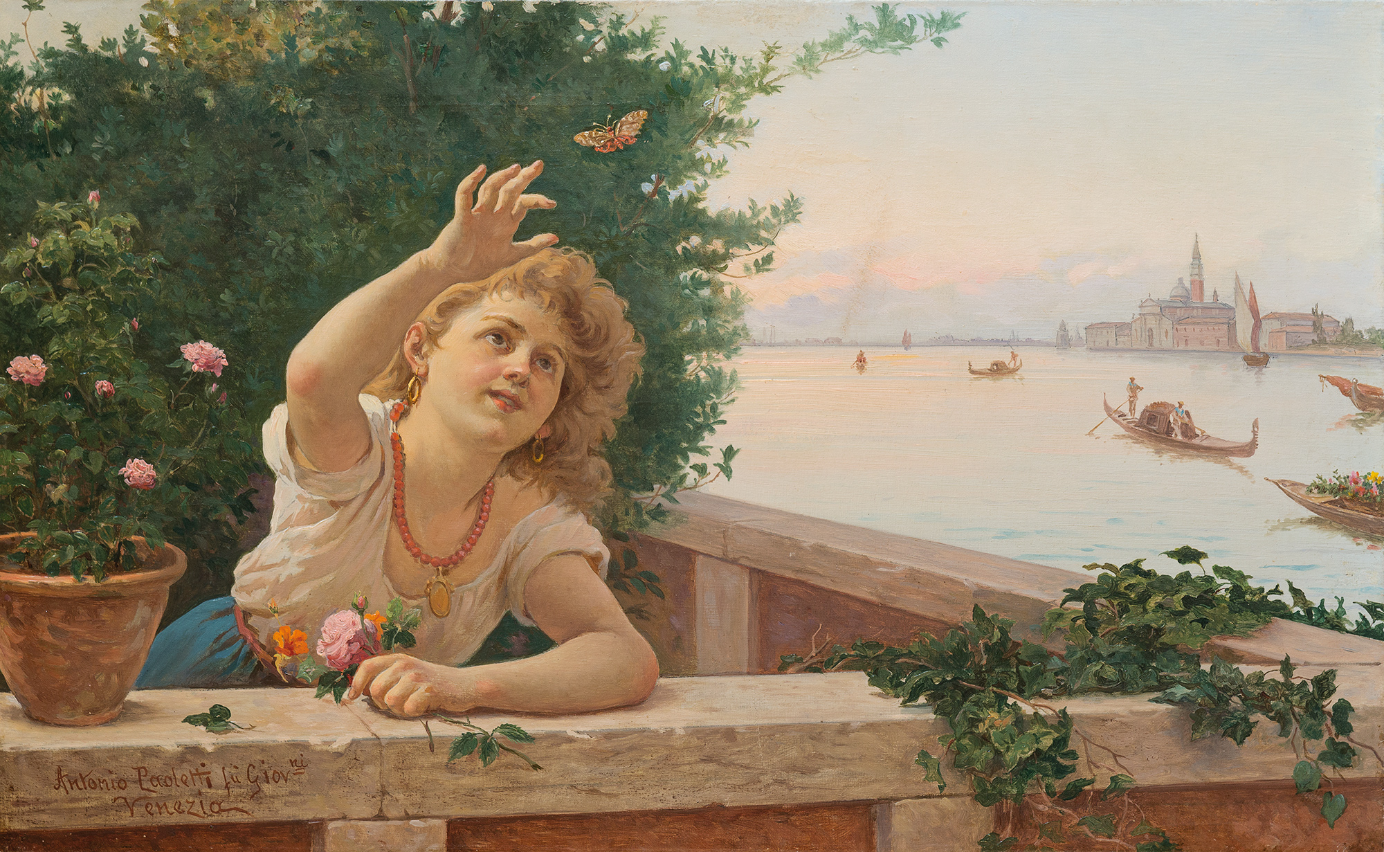 Unidentified Lepidopteran