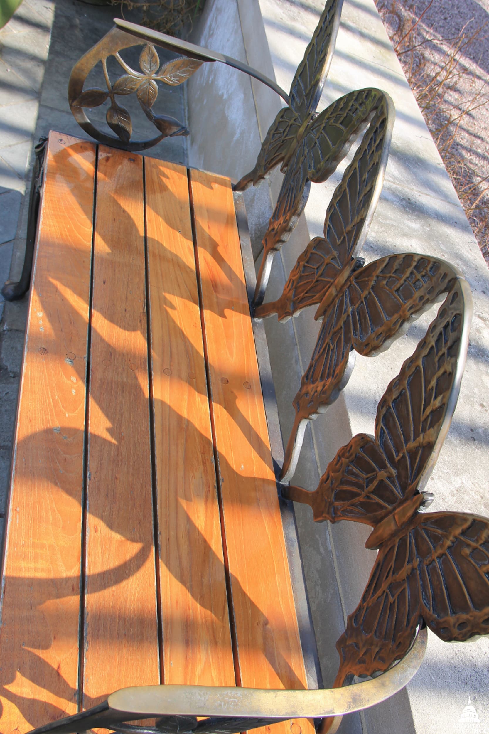 N/A - Not a living specimen