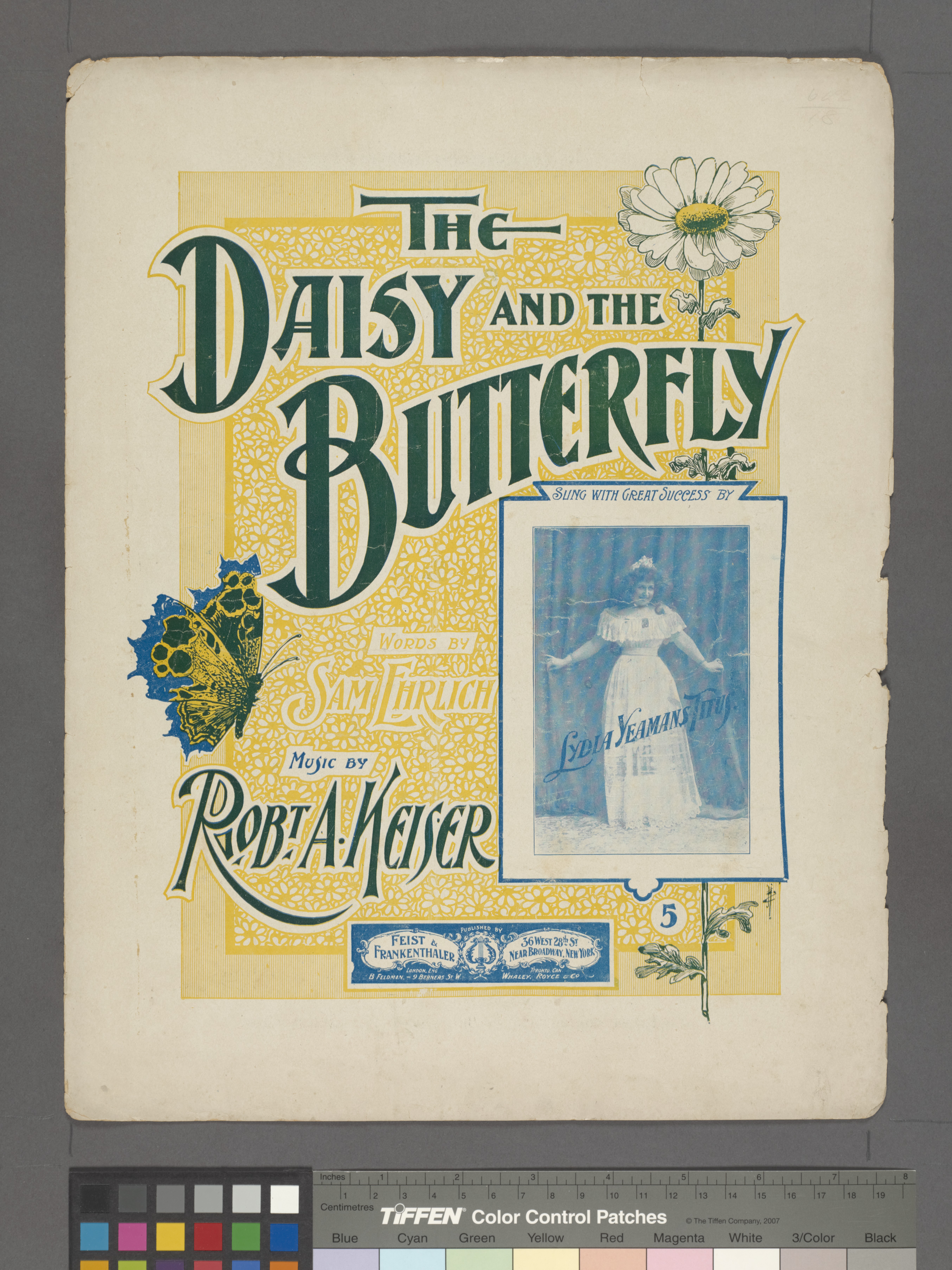 Stylized Butterfly Illustration