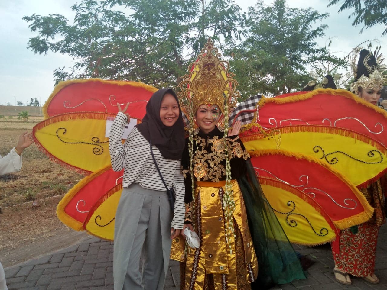 Carnival Butterfly Costume