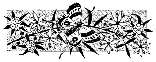 Unidentified Swallowtail Butterfly (Artistic Representation)
