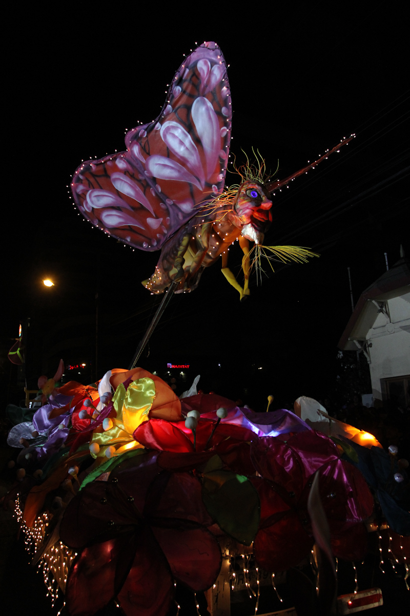 Artistic Butterfly Float