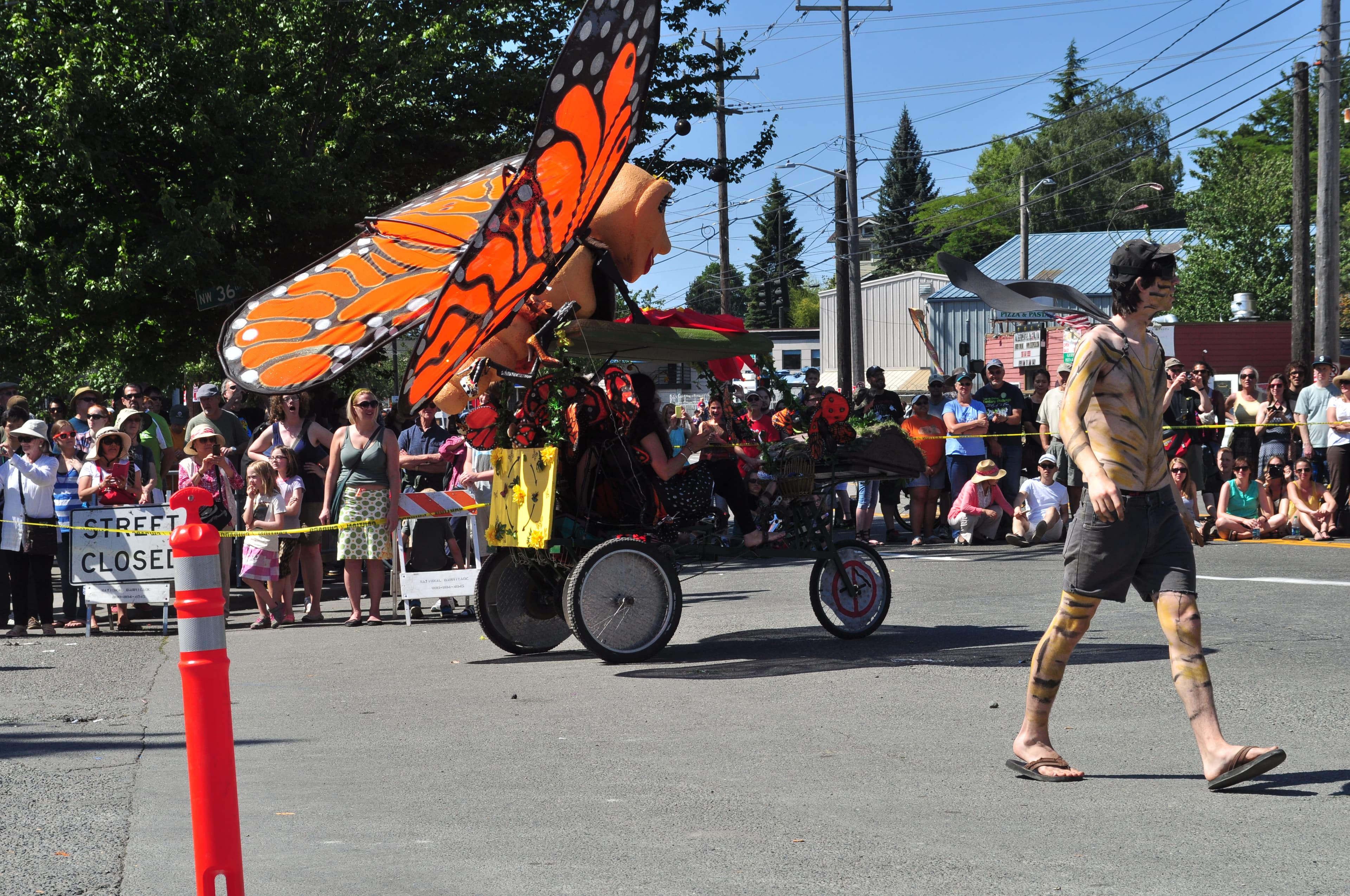 Monarch butterfly (represented as a parade float)