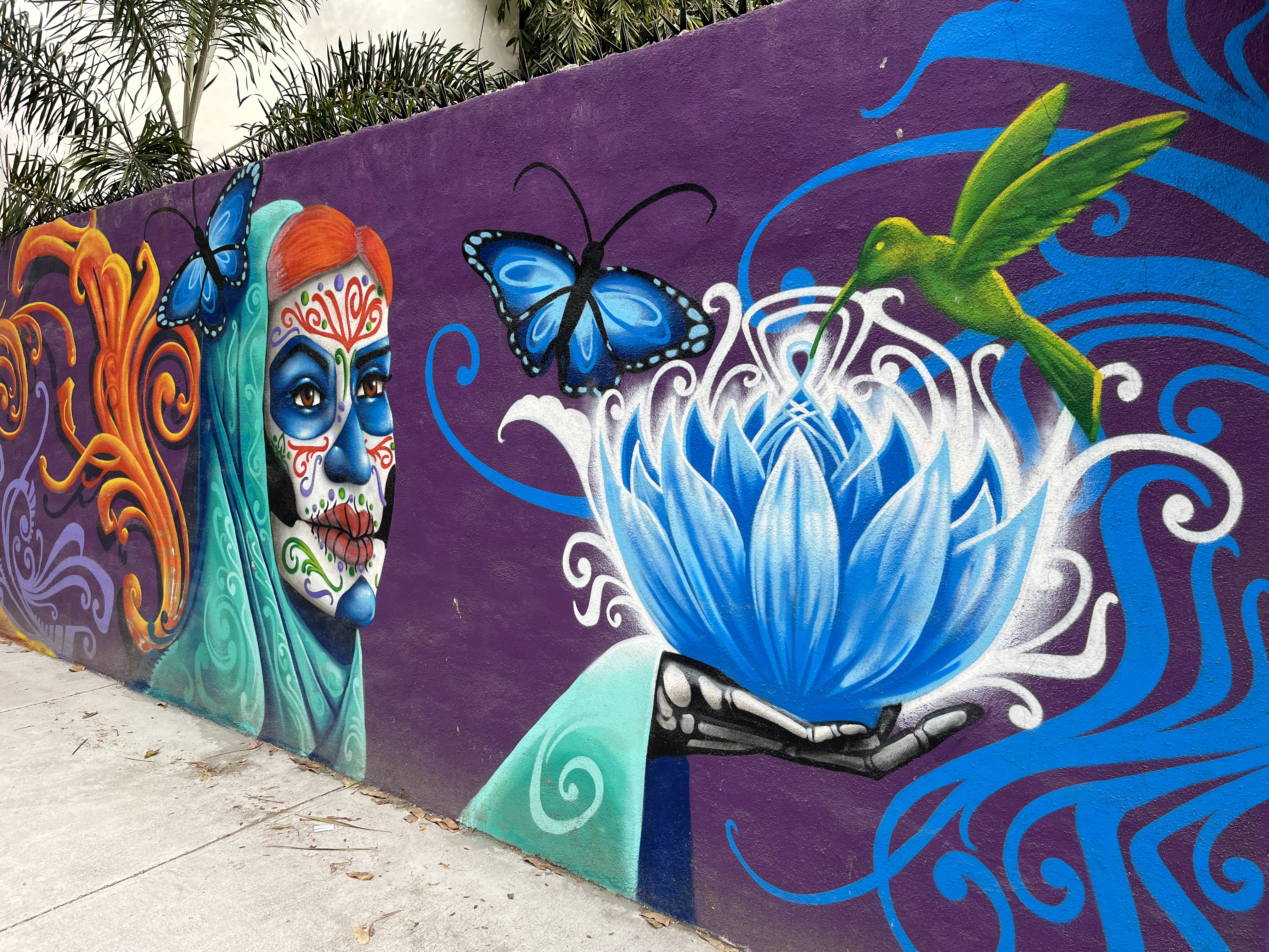 Stylized Butterfly (Artistic Representation)