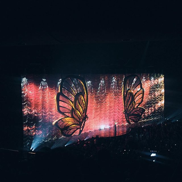 N/A (Stylized butterfly projection)