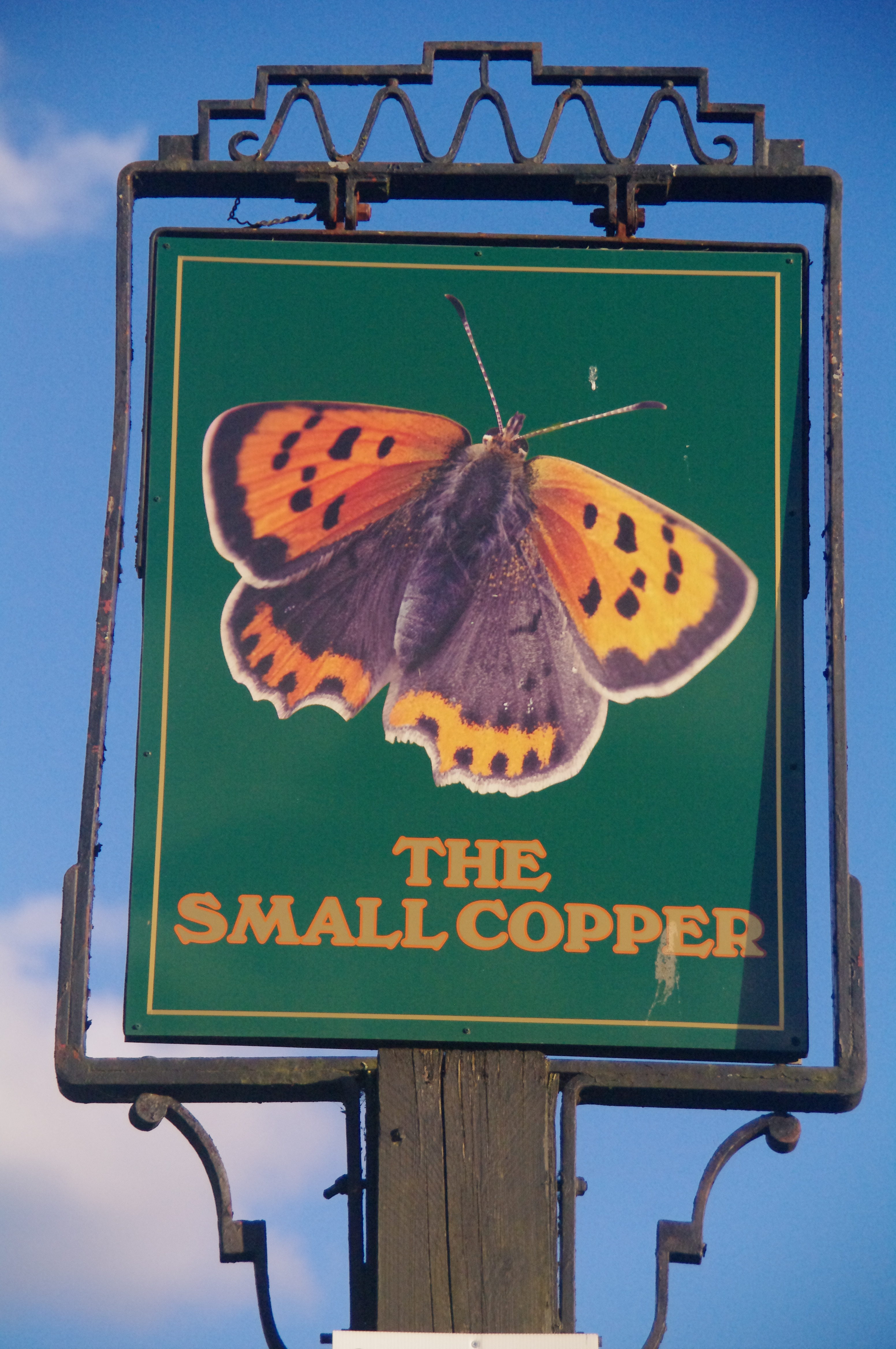 The Small Copper