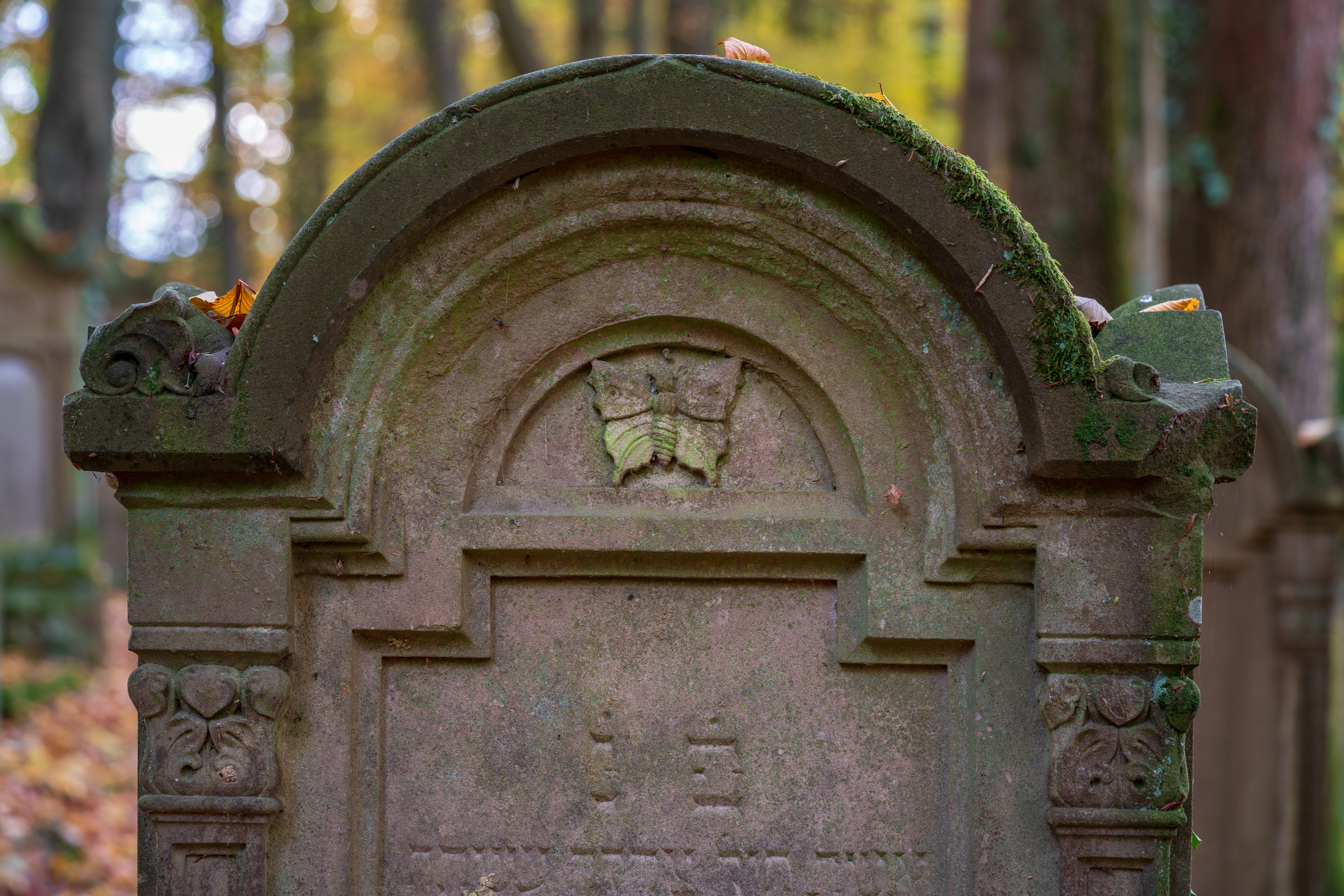 N/A (Stylized carving)