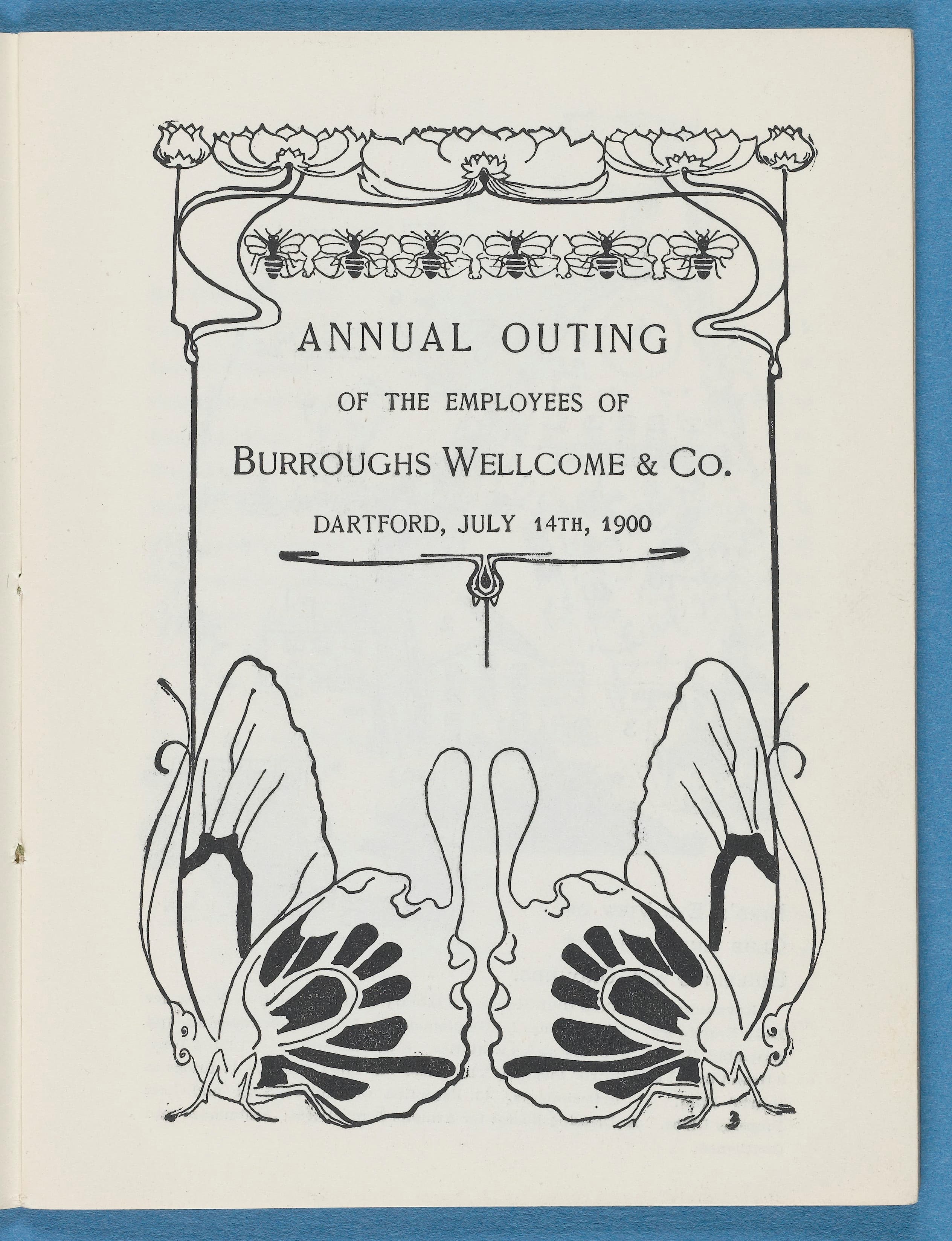 Stylized Butterfly Illustration