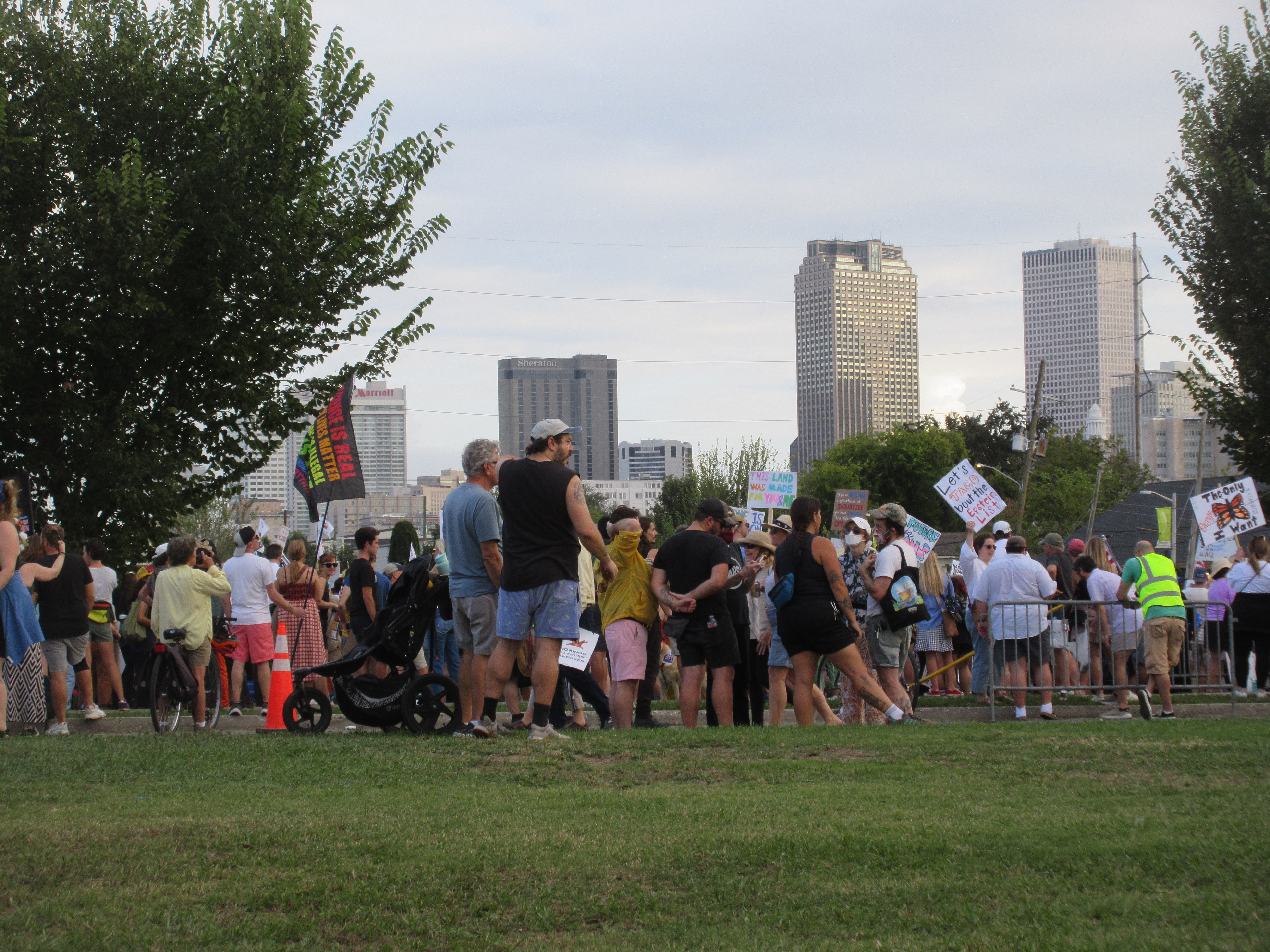 N/A (No Lepidoptera detected)