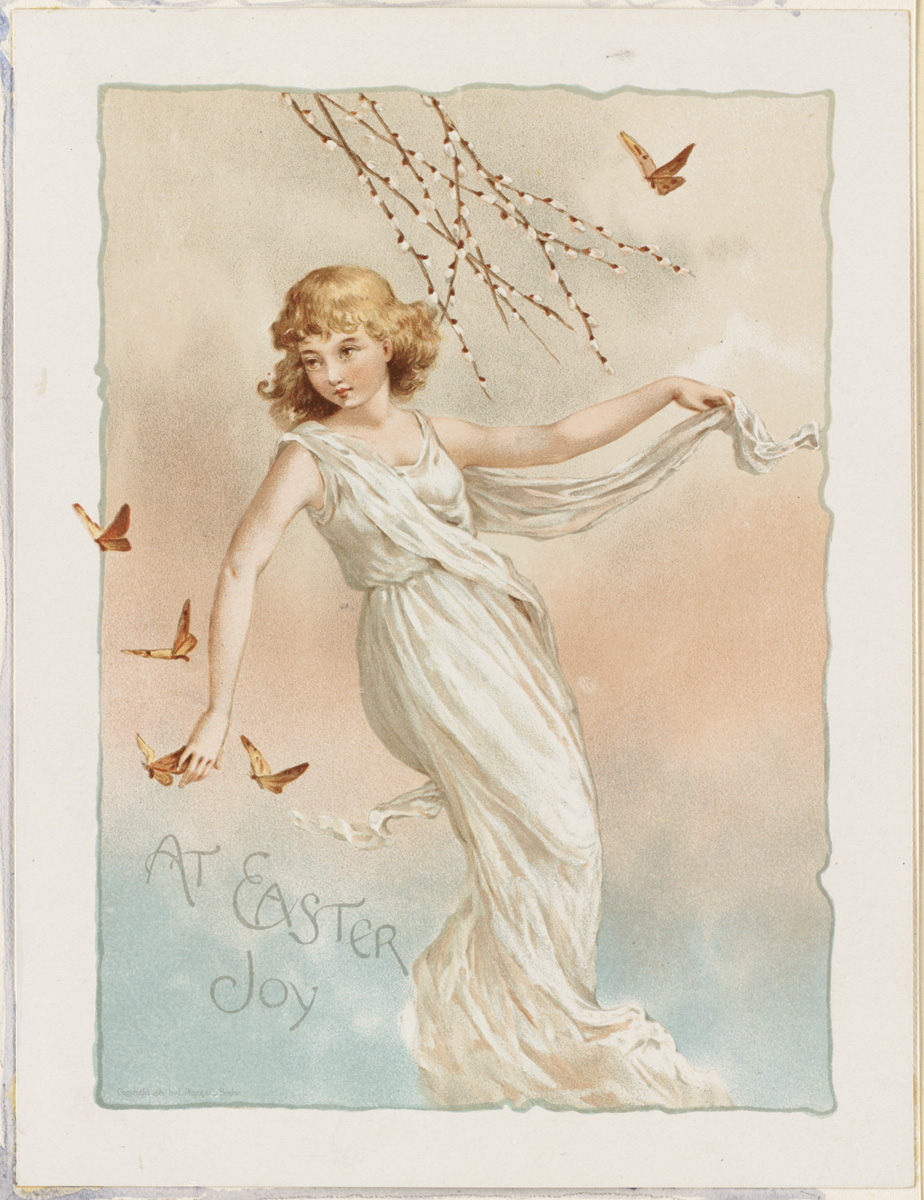 Generic Butterfly (Artistic Representation)