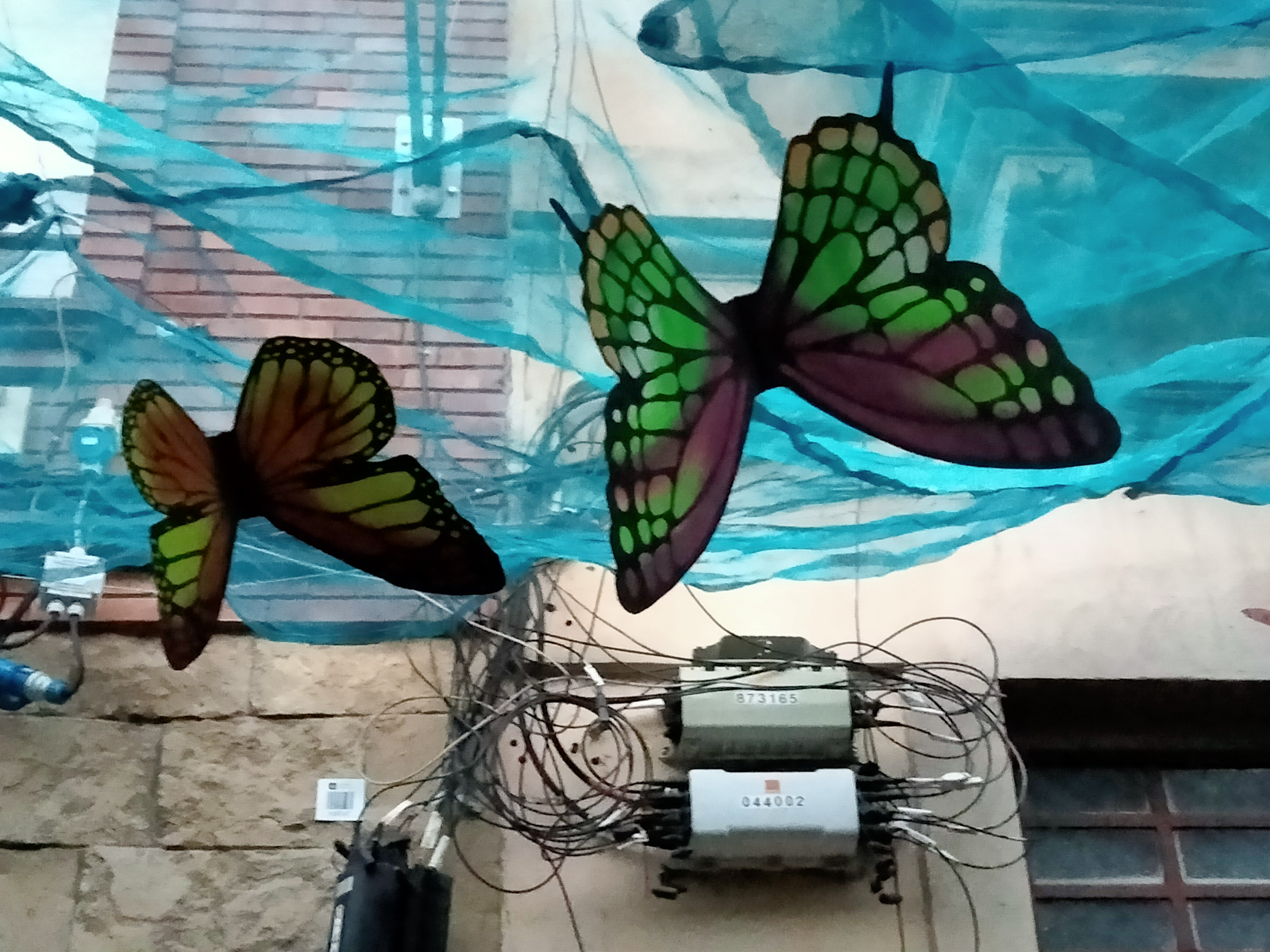 N/A (Artificial decoration)