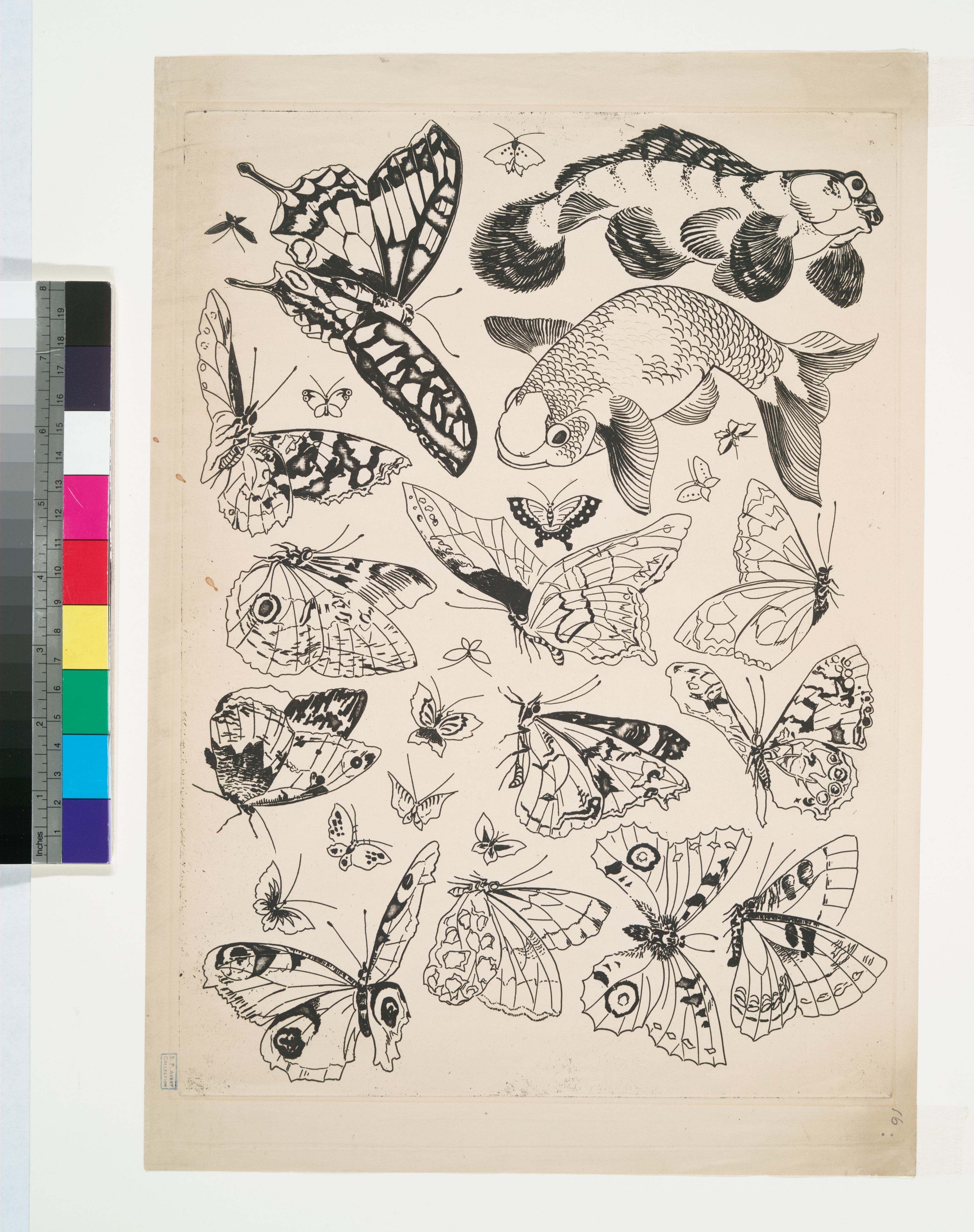 Various Stylized Butterflies