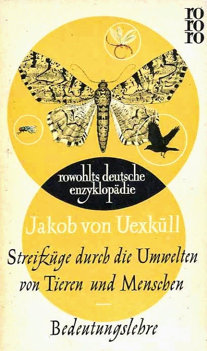 Generic Moth Illustration