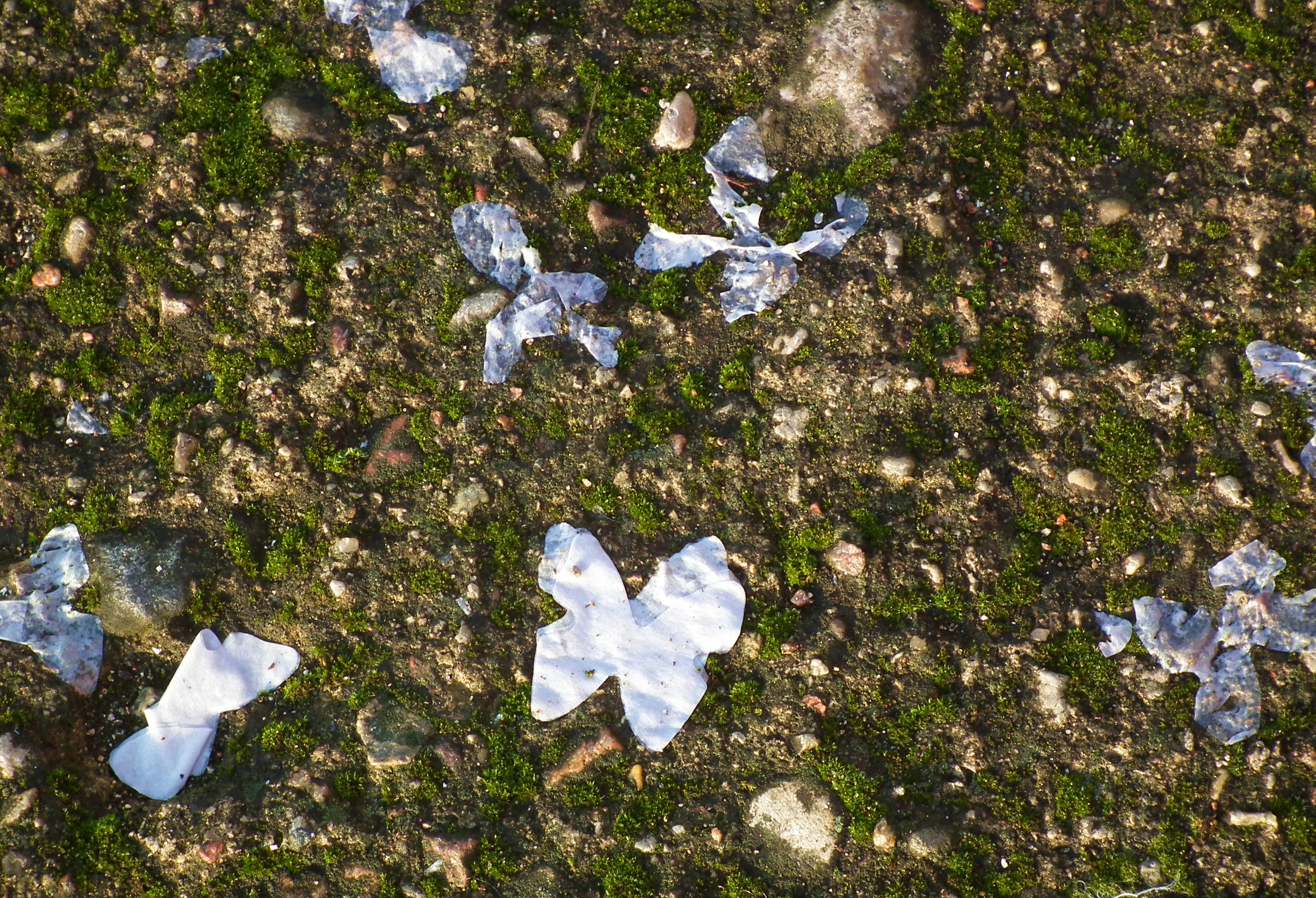 N/A (Decorative item)