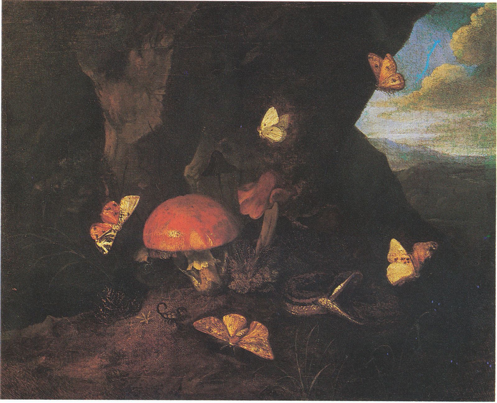 Silver-washed Fritillary (representative)