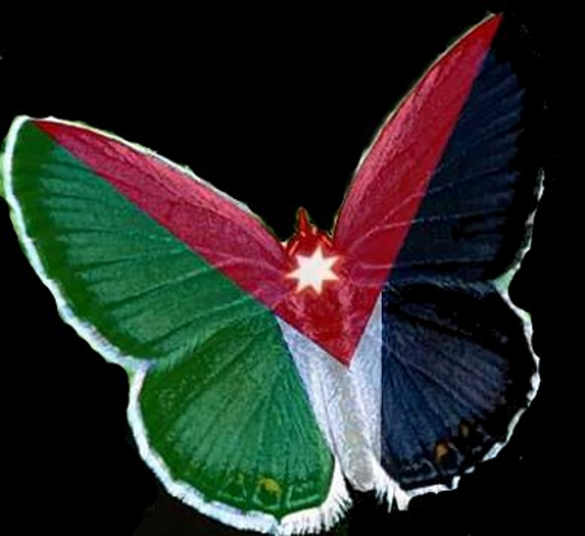 Artistic Representation of a Butterfly (Jordan Flag)