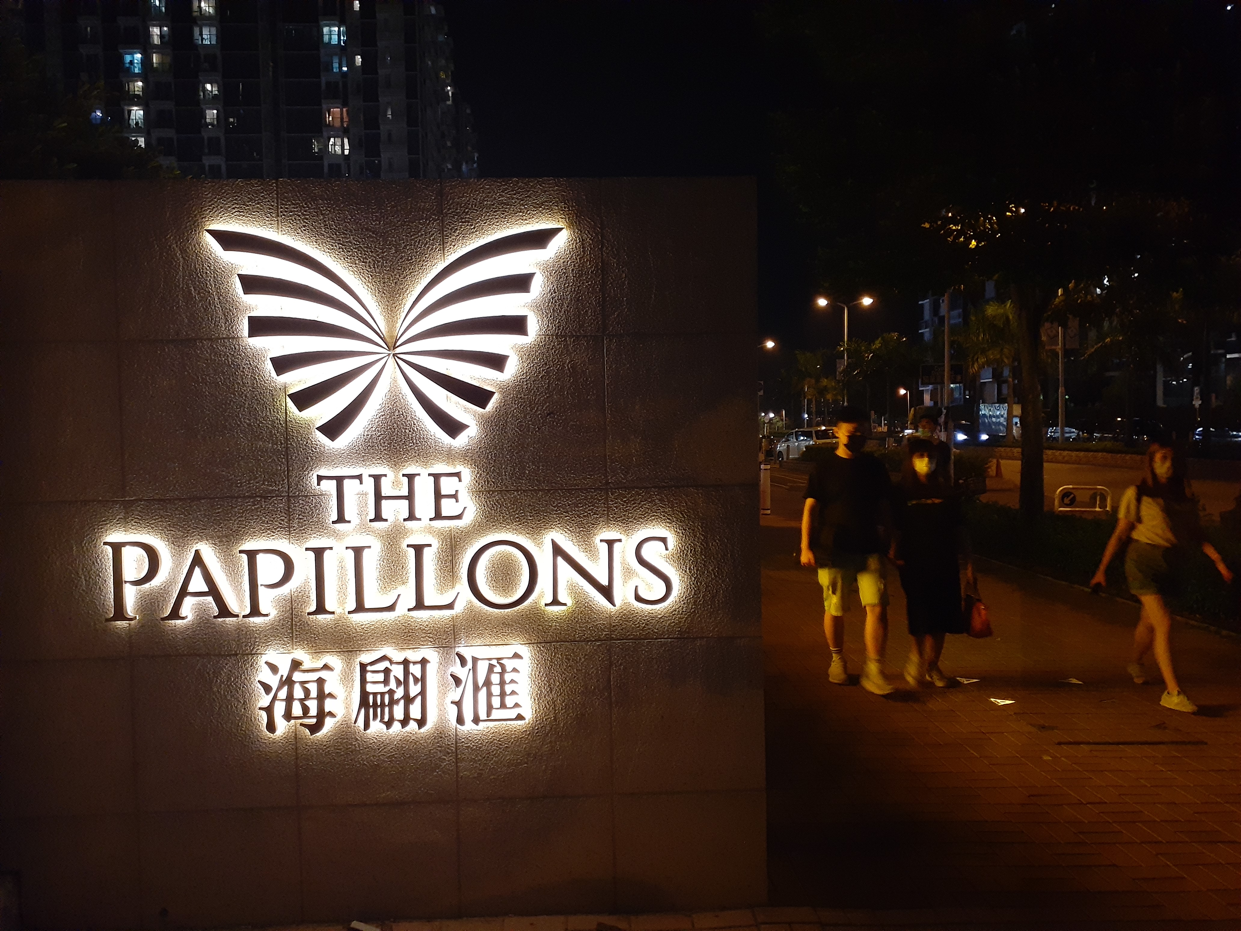 N/A (Image depicts a logo, not a real butterfly)