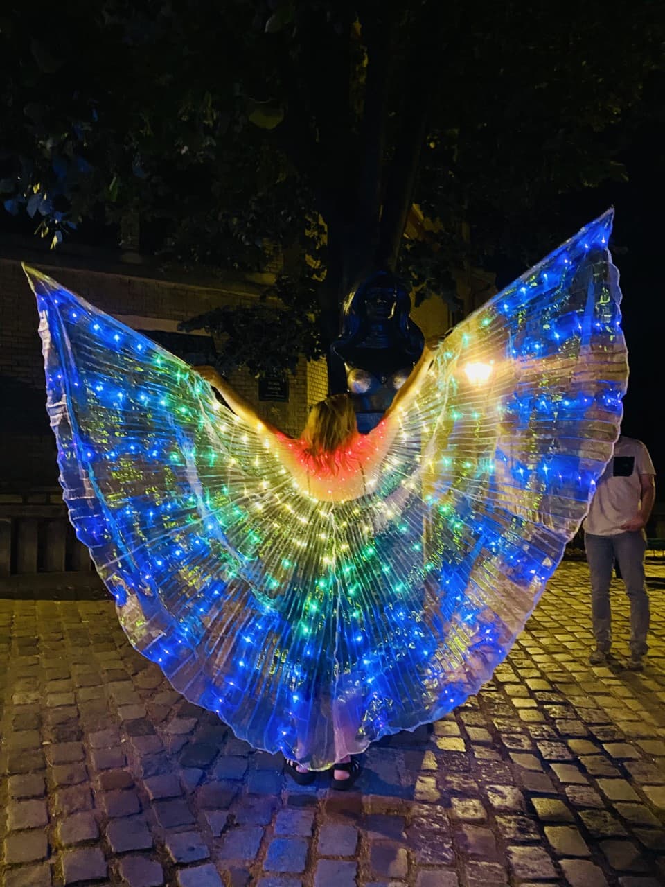 Not a butterfly or moth