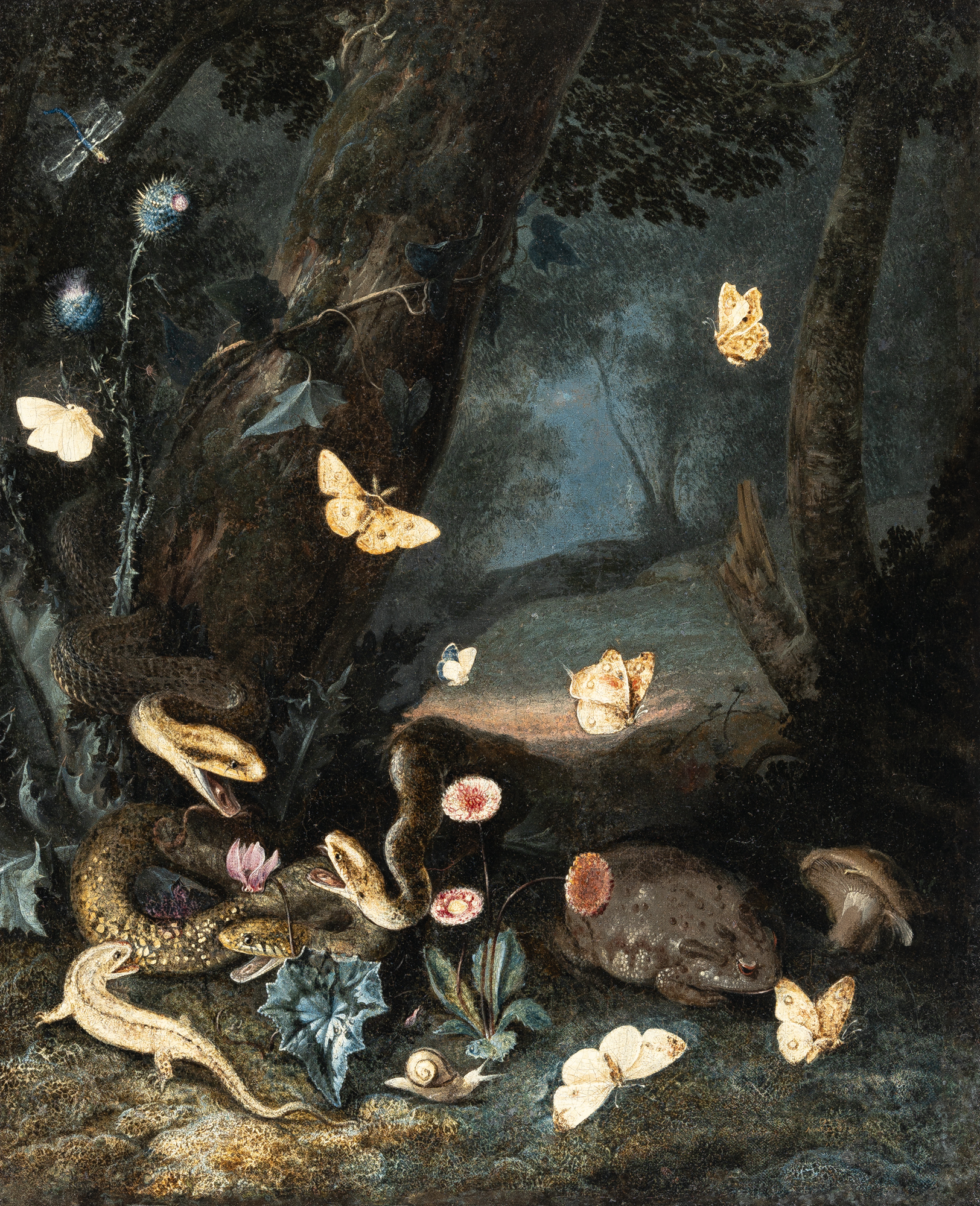 Unidentified Forest Moth (depicted in painting)
