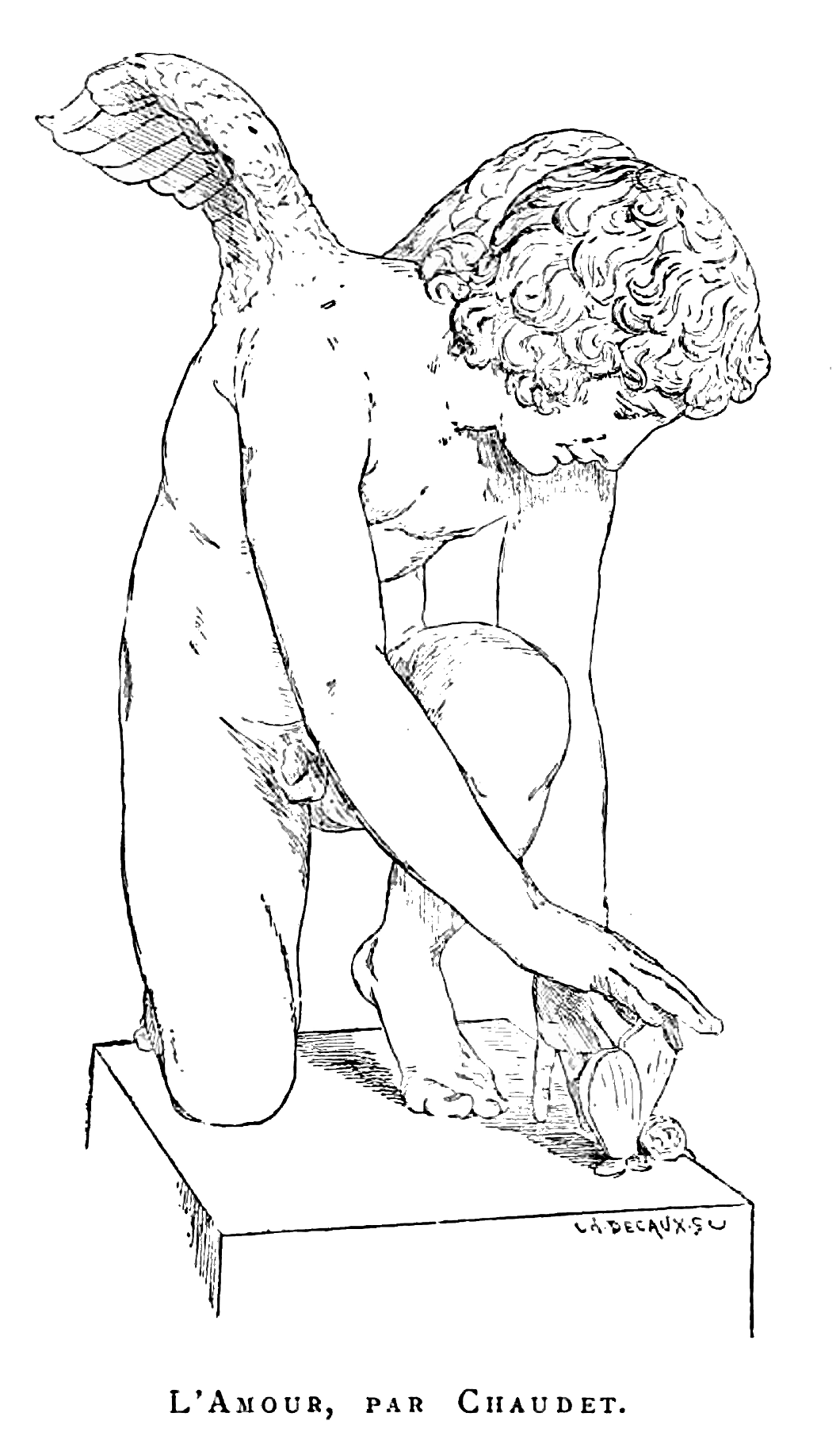 Unidentifiable Butterfly (in artwork)