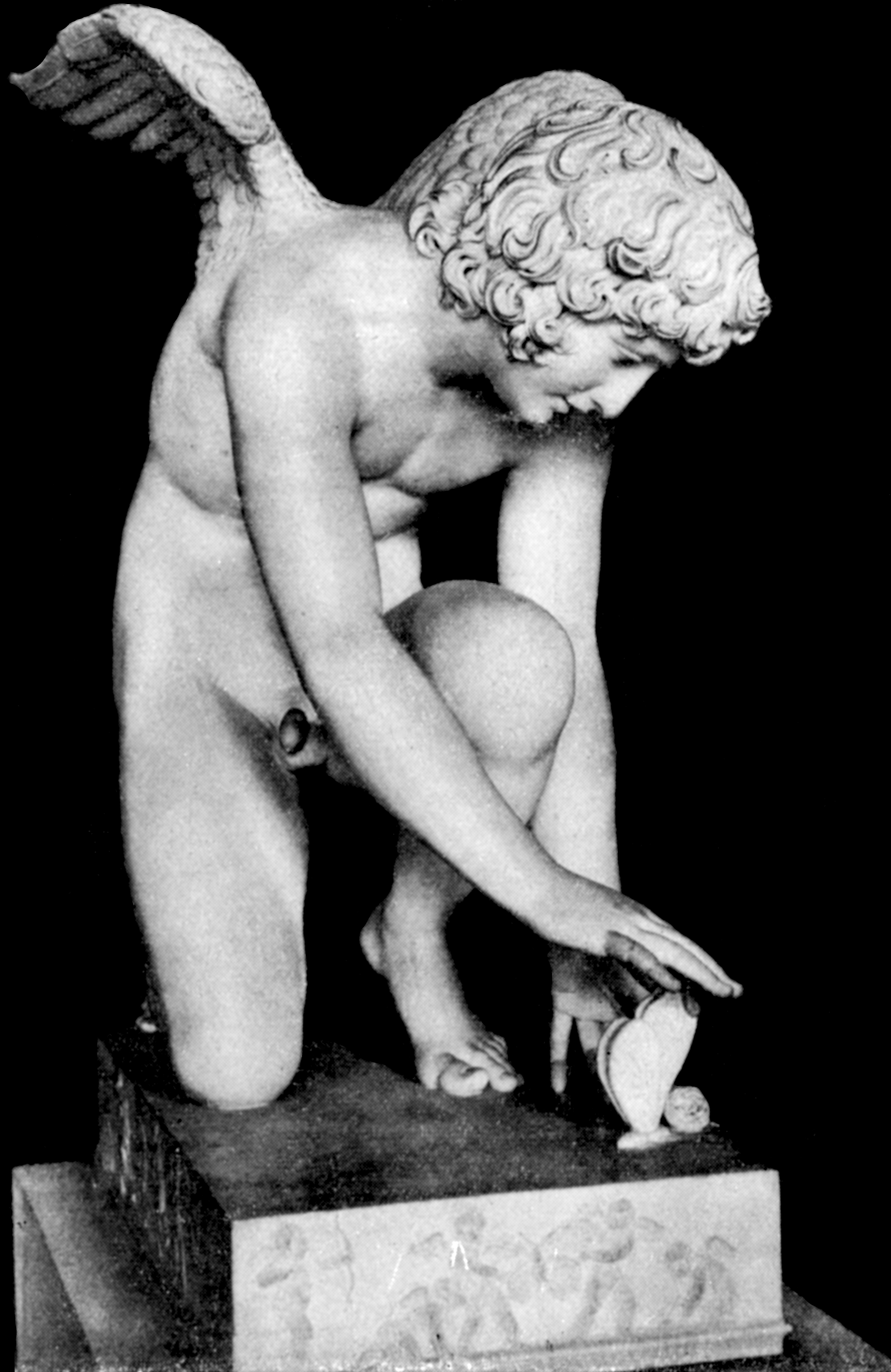 N/A (Sculpted Butterfly)