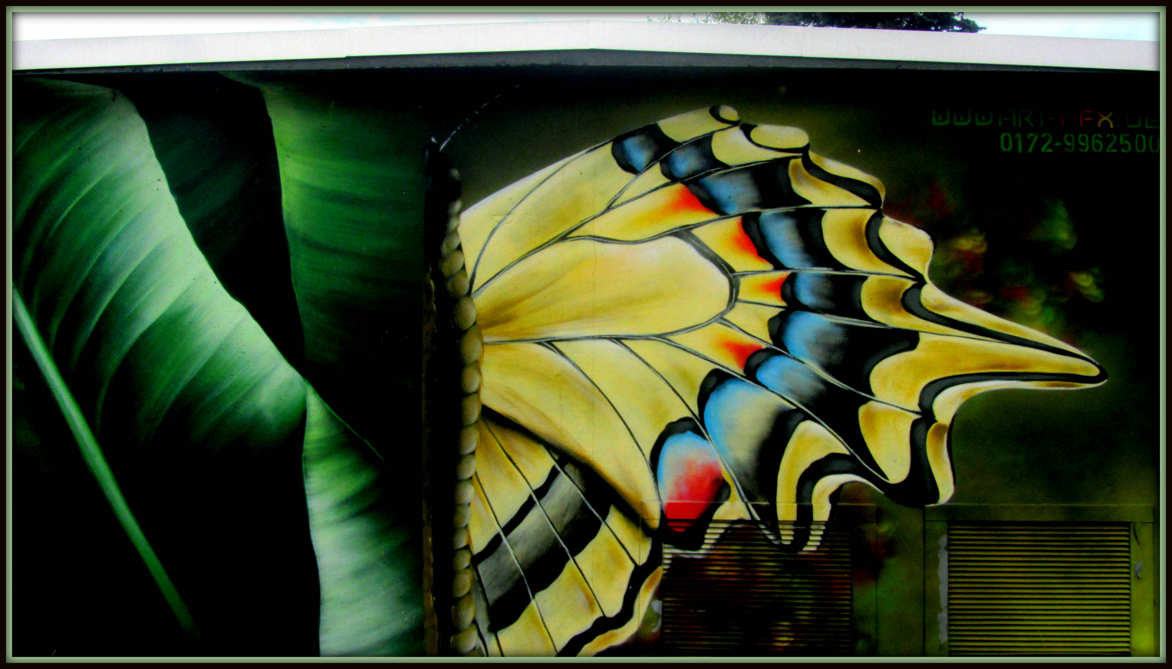 Stylized Butterfly (Artwork)