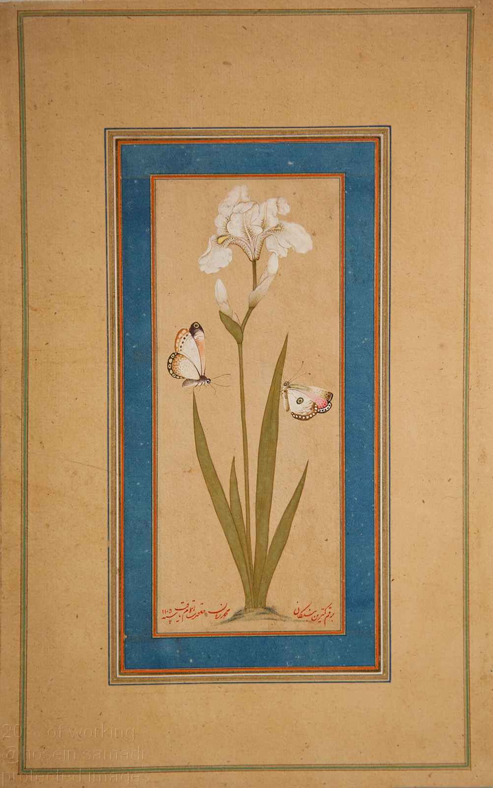 Stylized Butterflies (Painting)