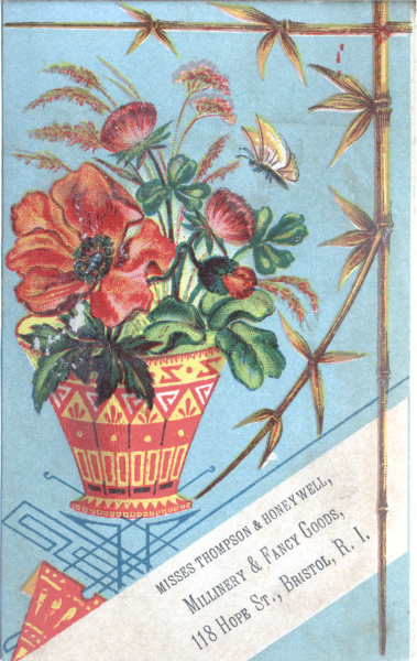 Generic Butterfly (Not identifiable)