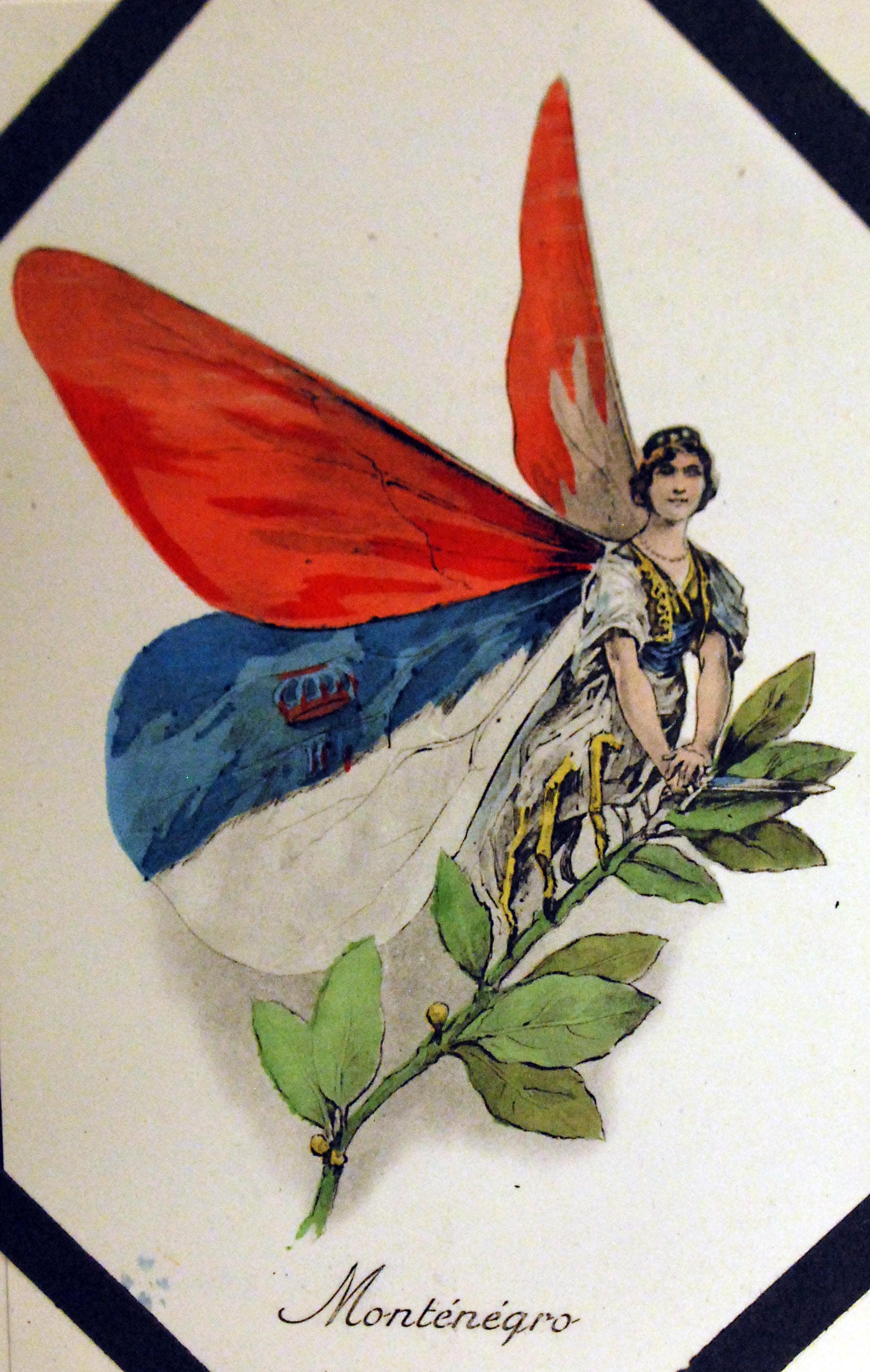 Montenegro (Artistic Representation)