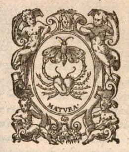 Stylized Moth/Butterfly Emblem