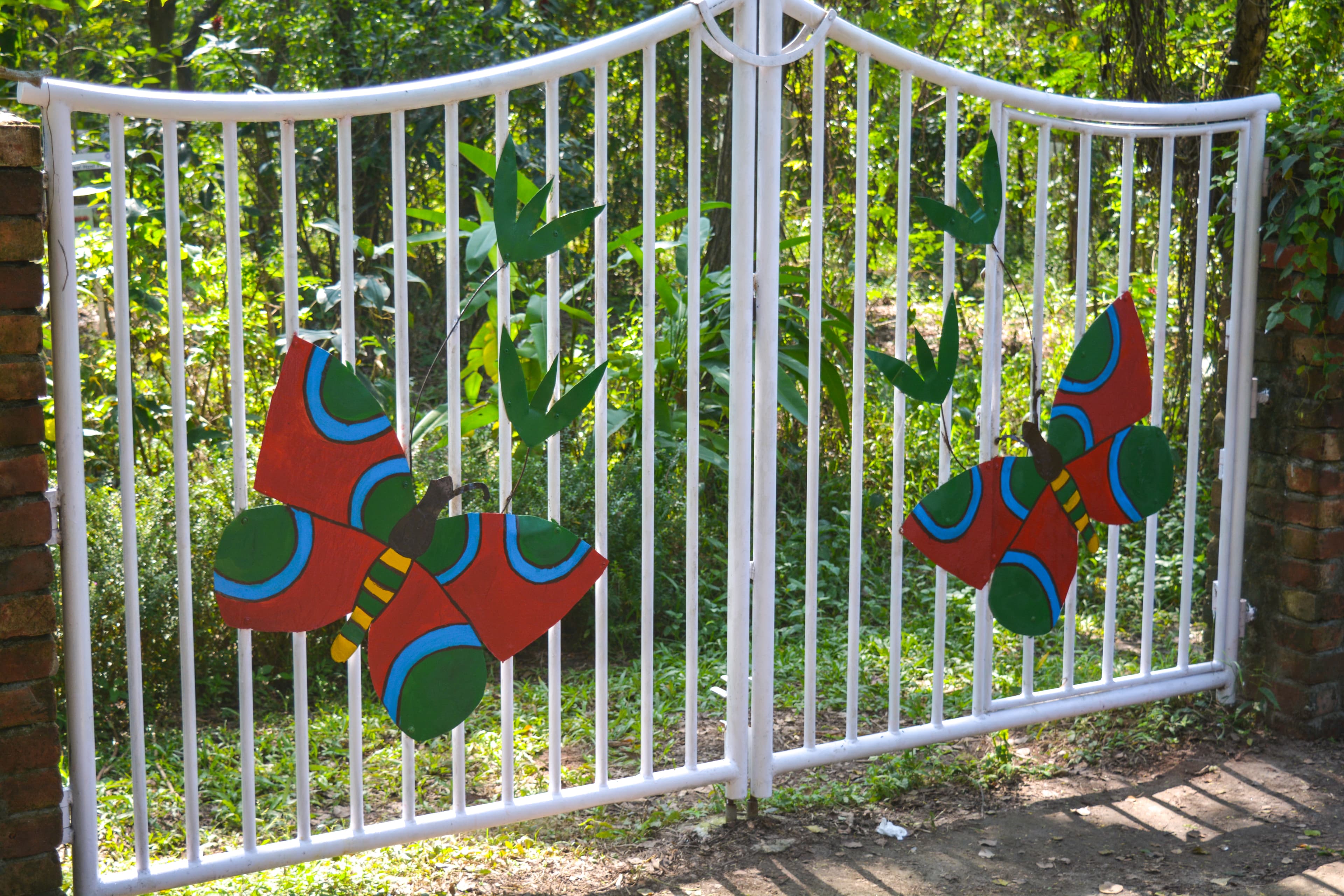 Decorative Butterfly (Artistic Representation)