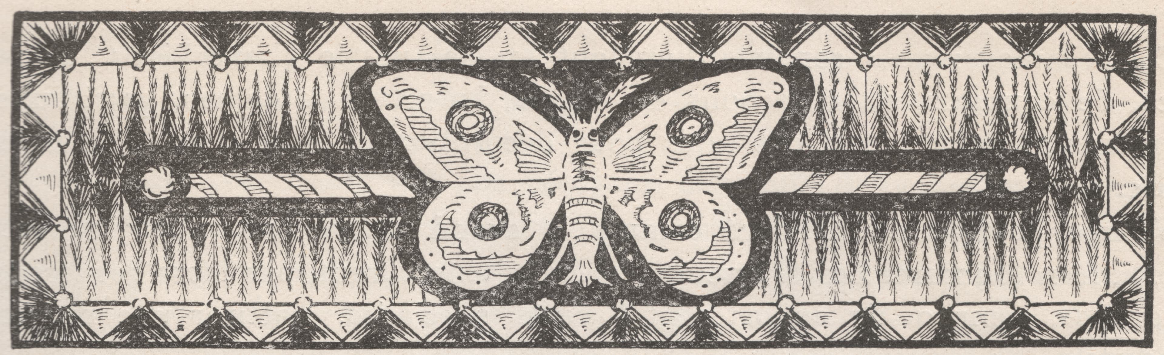 Stylized Moth/Butterfly Illustration