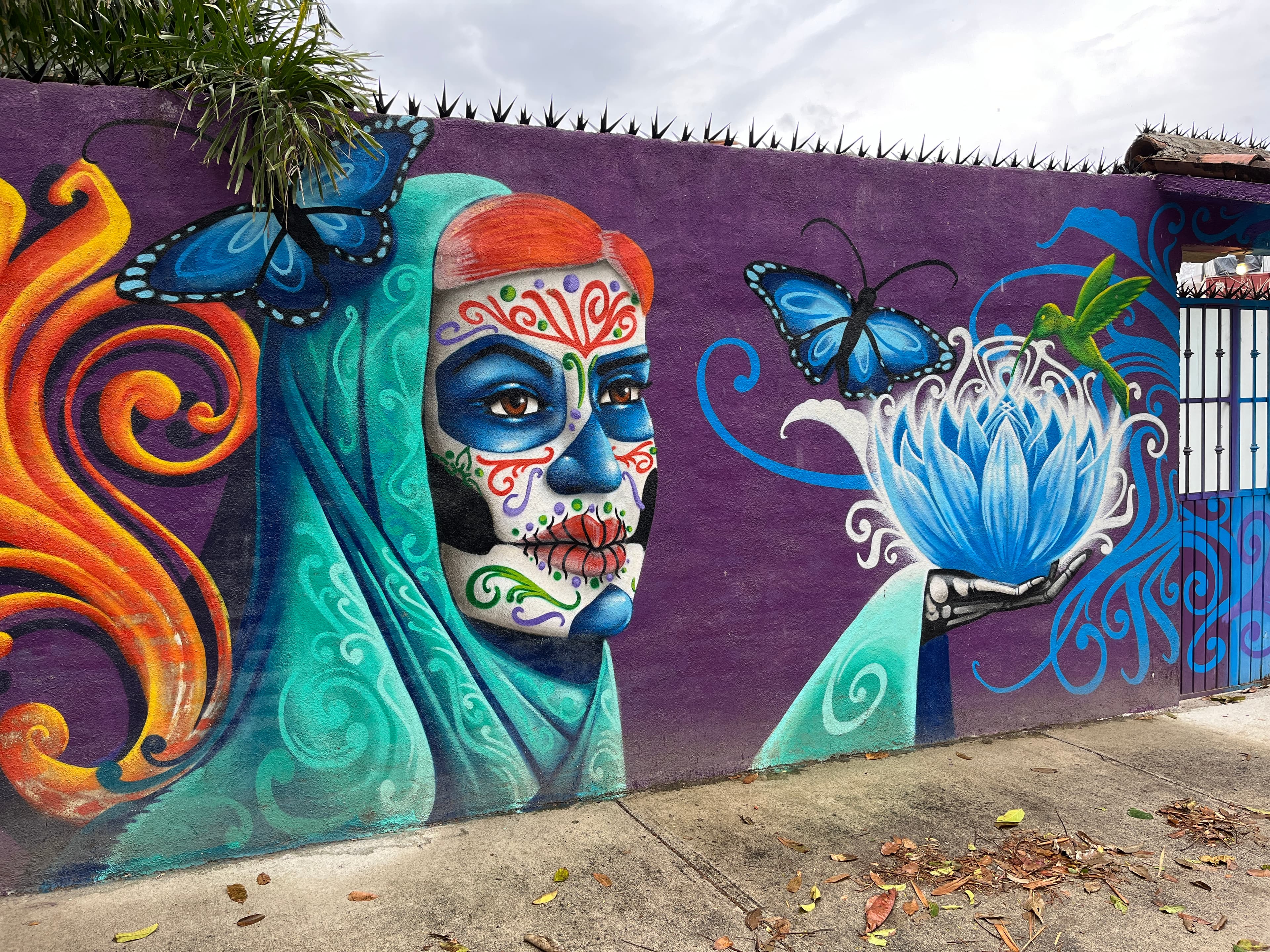 Stylized Blue Butterfly (Artistic Representation)