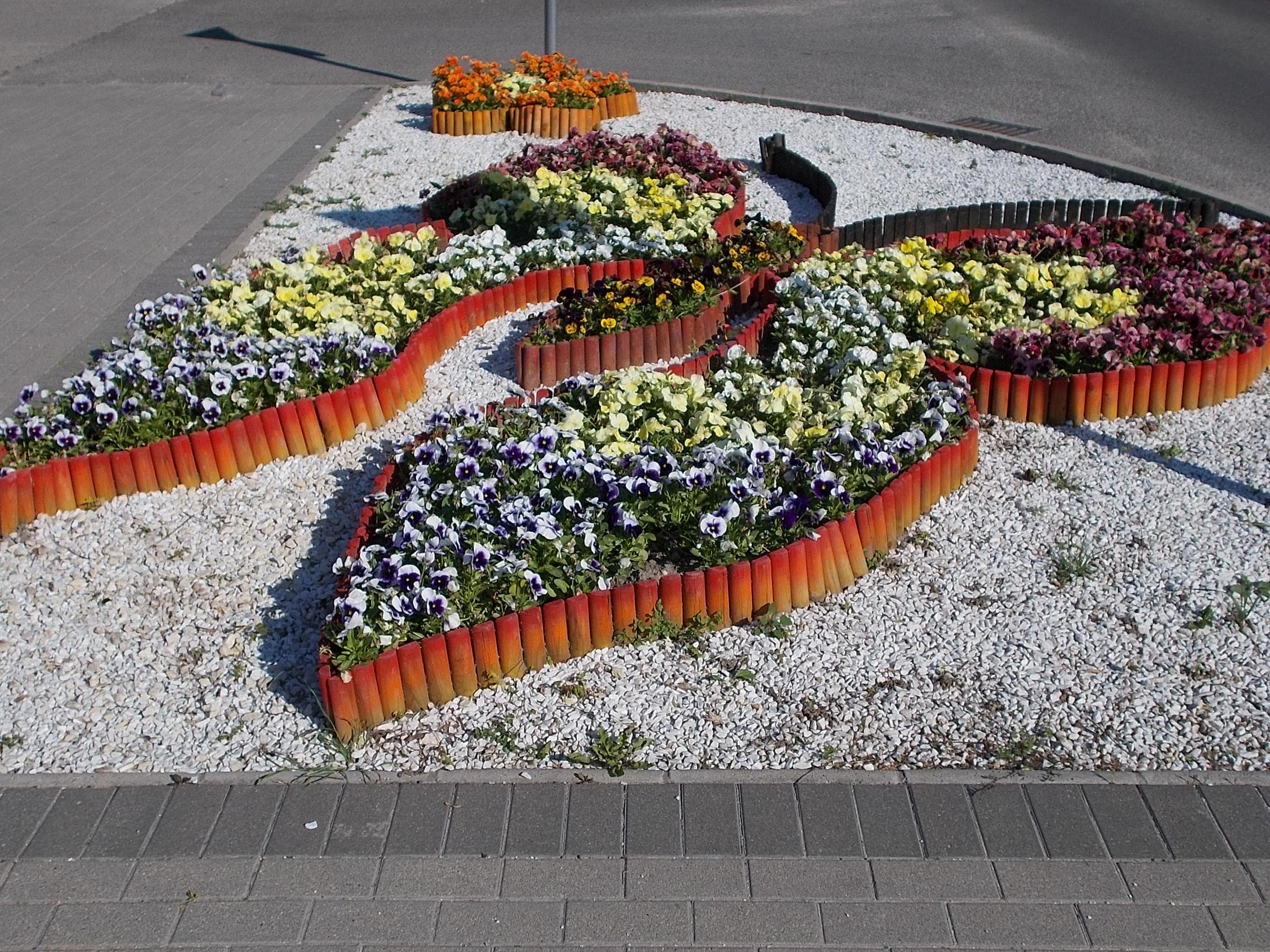 N/A (No butterfly/moth visible)